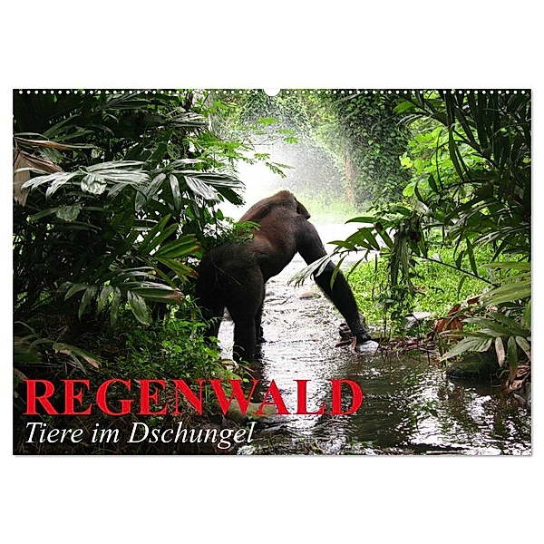 Regenwald - Tiere im Dschungel (Wandkalender 2024 DIN A2 quer), CALVENDO Monatskalender, Elisabeth Stanzer