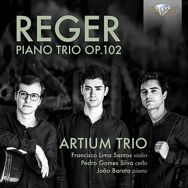 Reger:Piano Trio Op.102, Diverse Interpreten