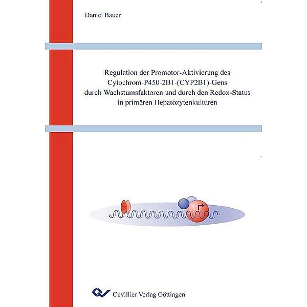 Regulation der Promoter-Aktivierung des Cytochrom-P450-2B1-(CYP2B1)-Gens durch Wachstumsfaktoren und durch den Redox-Status in primären Hepatozytenkulturen