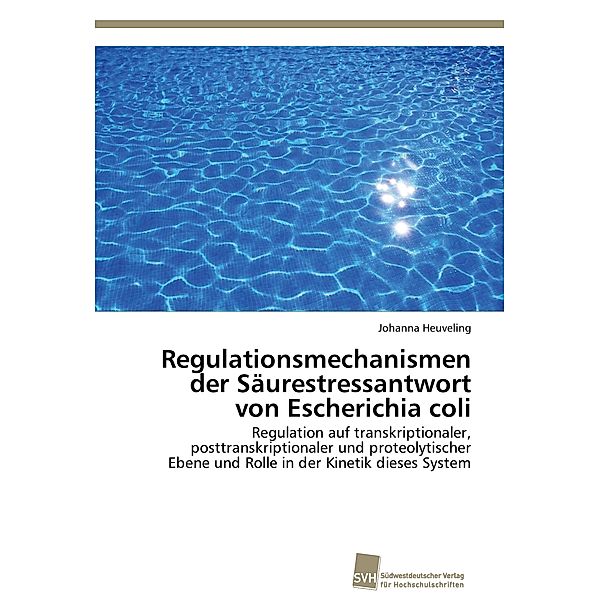 Regulationsmechanismen der Säurestressantwort von Escherichia coli, Johanna Heuveling