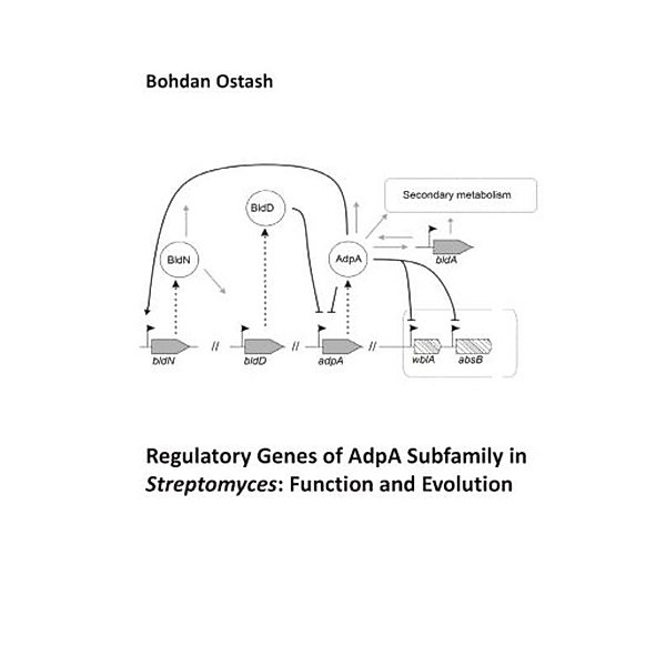 Regulatory Genes of AdpA Subfamily in Streptomyces: Function and Evolution, Bohdan Ostash
