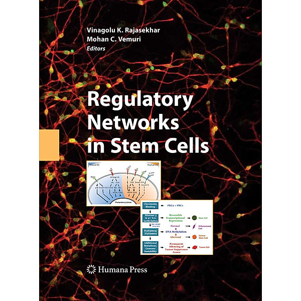 Regulatory Networks in Stem Cells