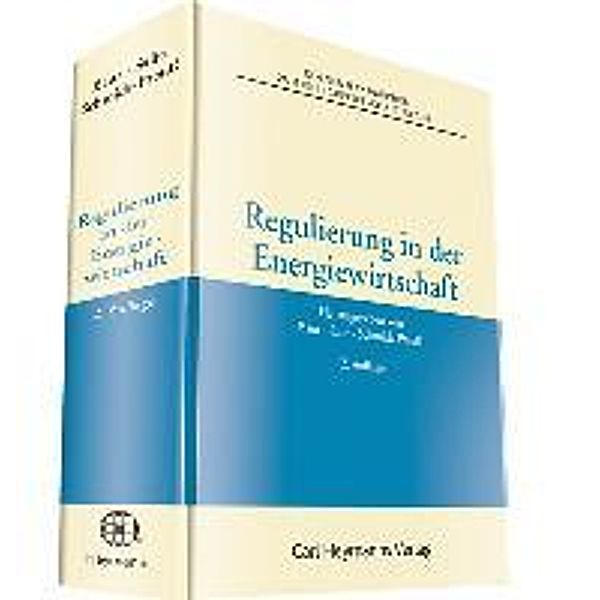 Regulierung in der Energiewirtschaft