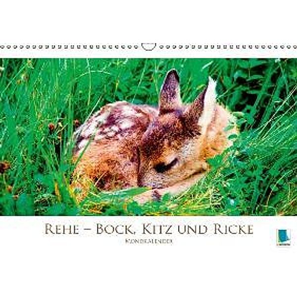 Rehe Bock, Kitz und Ricke Mondkalender (Wandkalender 2015 DIN A3 quer), CALVENDO