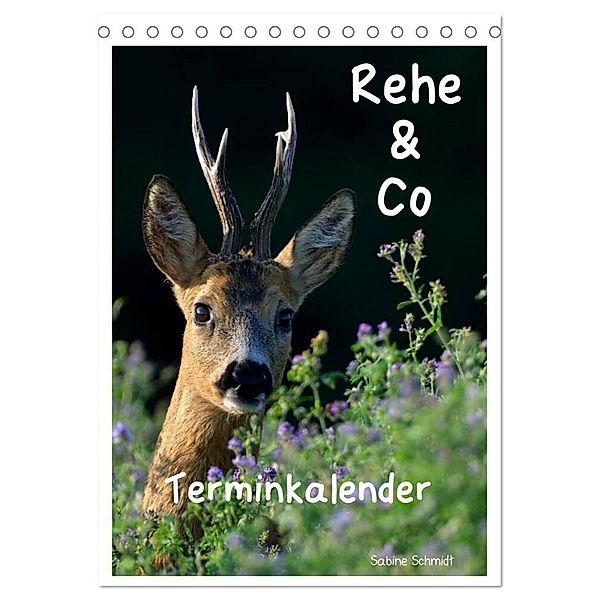 Rehe & Co / Planer (Tischkalender 2024 DIN A5 hoch), CALVENDO Monatskalender, Sabine Schmidt