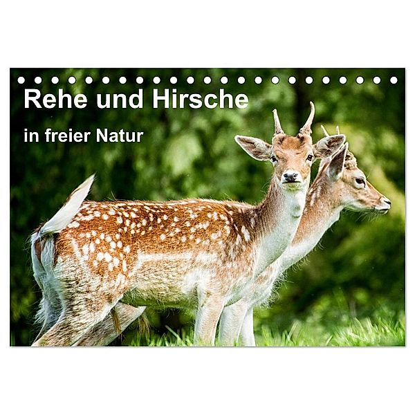 Rehe und Hirsche in freier Natur (Tischkalender 2024 DIN A5 quer), CALVENDO Monatskalender, Photoga Photography, Gabriela Wernicke-Marfo