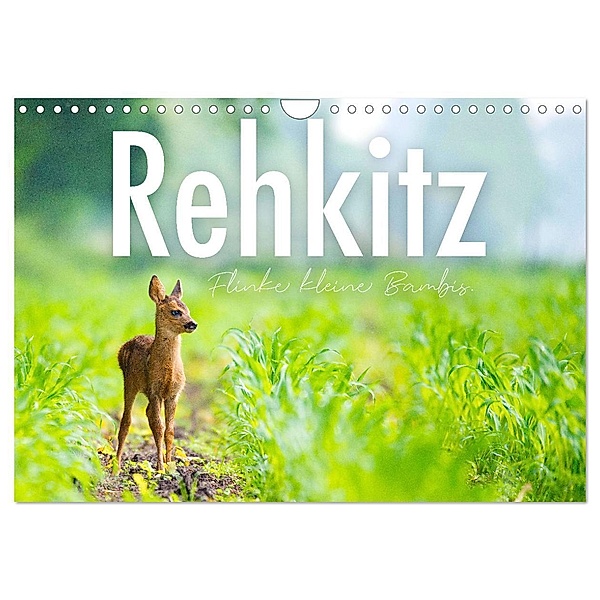 Rehkitz - Flinke kleine Bambis. (Wandkalender 2024 DIN A4 quer), CALVENDO Monatskalender, SF