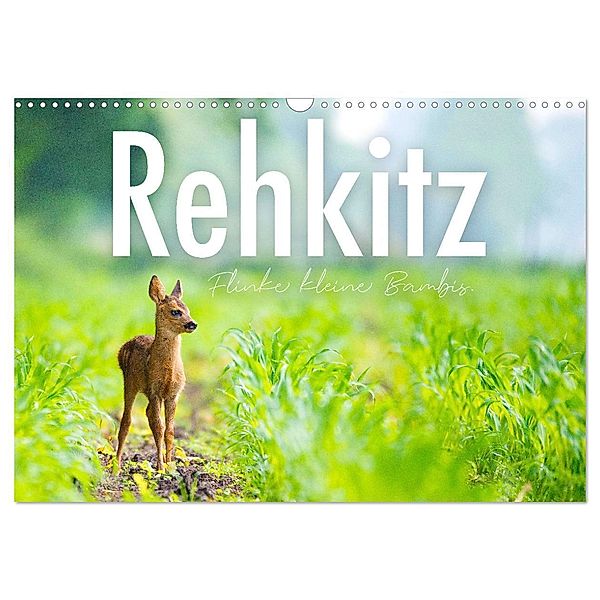Rehkitz - Flinke kleine Bambis. (Wandkalender 2024 DIN A3 quer), CALVENDO Monatskalender, SF