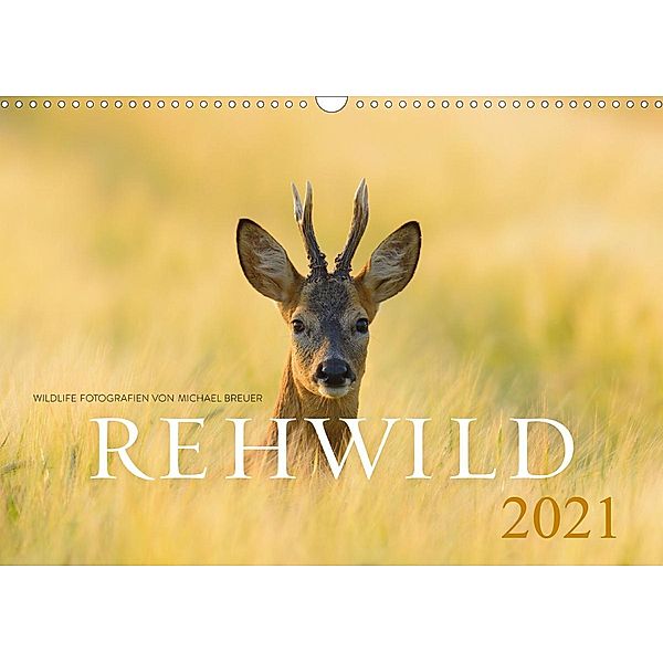 Rehwild 2021 (Wandkalender 2021 DIN A3 quer), Michael Breuer