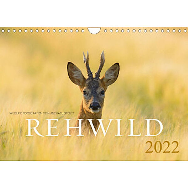 Rehwild 2022 (Wandkalender 2022 DIN A4 quer), Michael Breuer