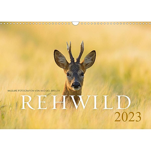 Rehwild 2023 (Wandkalender 2023 DIN A3 quer), Michael Breuer