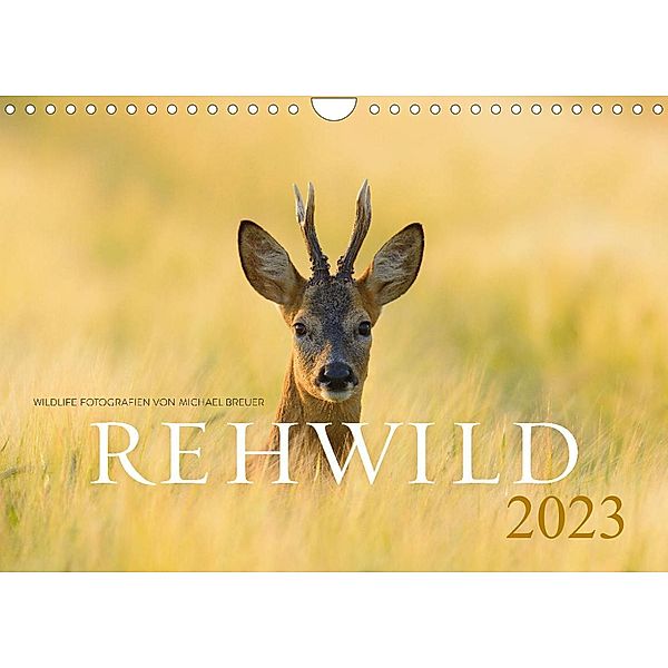 Rehwild 2023 (Wandkalender 2023 DIN A4 quer), Michael Breuer