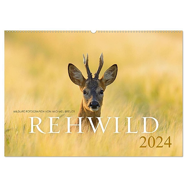 Rehwild 2024 (Wandkalender 2024 DIN A2 quer), CALVENDO Monatskalender, Michael Breuer
