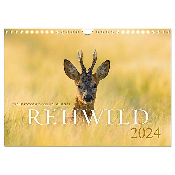 Rehwild 2024 (Wandkalender 2024 DIN A4 quer), CALVENDO Monatskalender, Michael Breuer