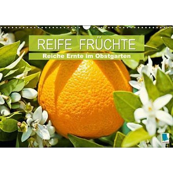 Reife Früchte Reiche Ernte im Obstgarten (Wandkalender 2015 DIN A3 quer), Calvendo