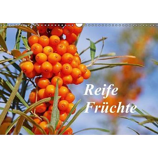 Reife Früchte (Wandkalender 2015 DIN A3 quer), LianeM