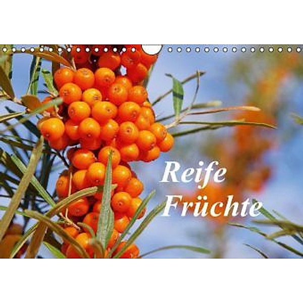Reife Früchte (Wandkalender 2015 DIN A4 quer), LianeM