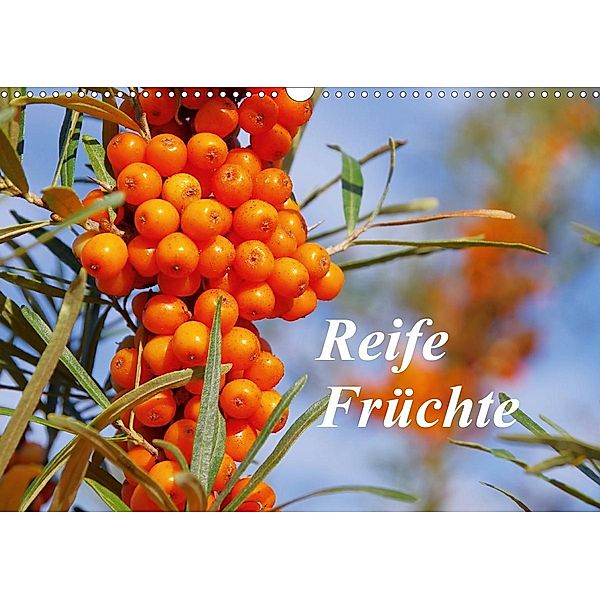 Reife Früchte (Wandkalender 2021 DIN A3 quer), LianeM