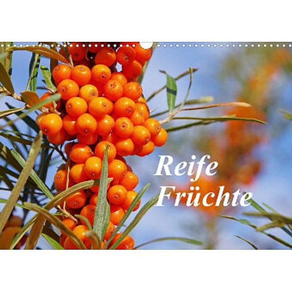 Reife Früchte (Wandkalender 2022 DIN A3 quer), LianeM