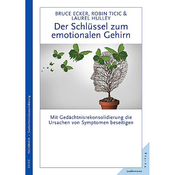 Reihe Fachbuch, Gedächtnisrekonsolidierung / Der Schlüssel zum emotionalen Gehirn, Bruce Ecker, Robin Ticic, Laurel Hulley