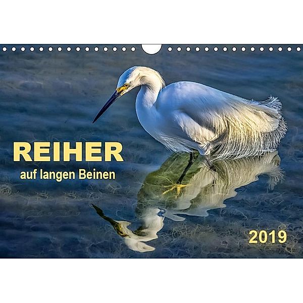 Reiher - auf langen Beinen (Wandkalender 2019 DIN A4 quer), Peter Roder
