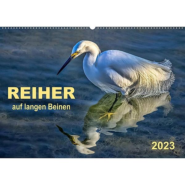 Reiher - auf langen Beinen (Wandkalender 2023 DIN A2 quer), Peter Roder