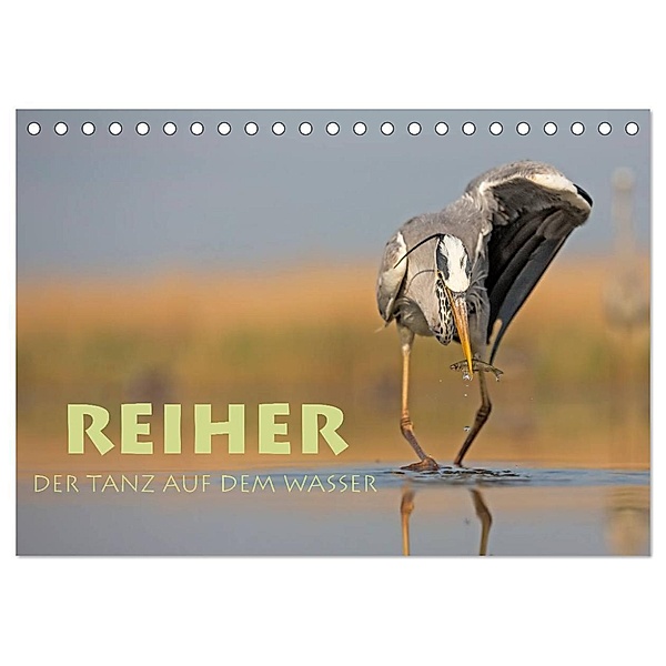 Reiher - Der Tanz auf dem Wasser (Tischkalender 2024 DIN A5 quer), CALVENDO Monatskalender, Stephan Peyer