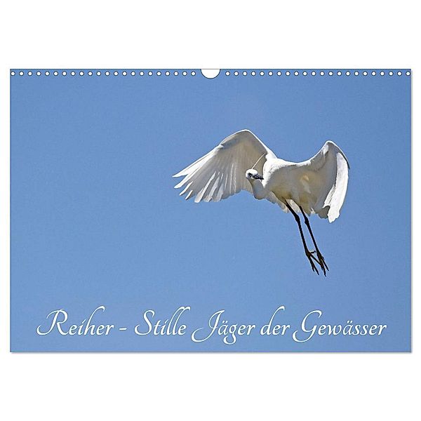 Reiher - Stille Jäger der Gewässer (Wandkalender 2024 DIN A3 quer), CALVENDO Monatskalender, Benny Trapp