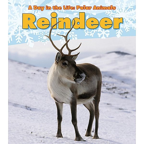 Reindeer / Raintree Publishers, Katie Marsico