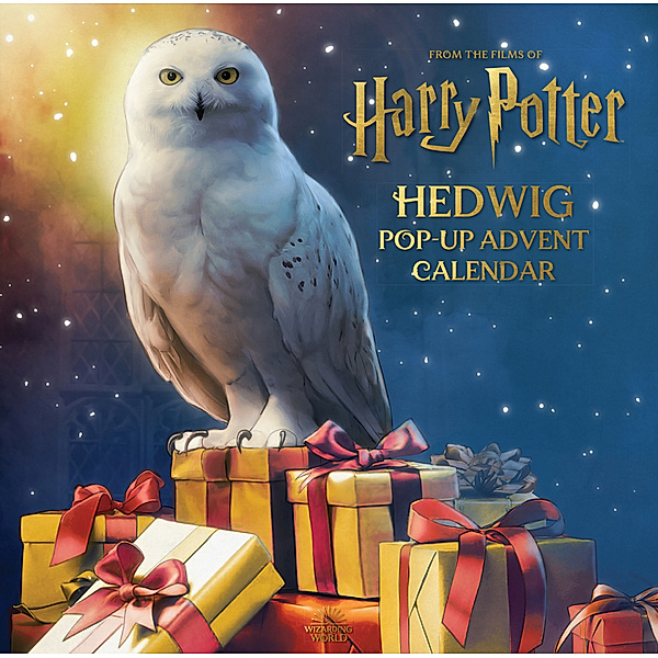 Reinhart Pop-Up Studio / Harry Potter: Hedwig Pop-Up Advent Calendar, Matthew Reinhart