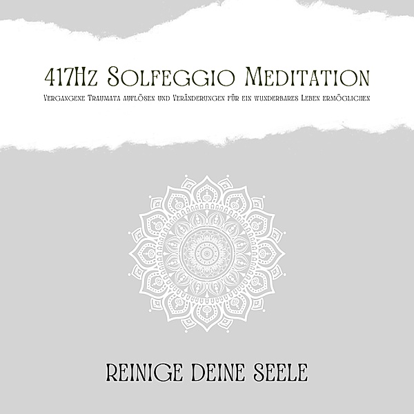 Reinige Deine Seele - 1 - 417Hz Solfeggio Meditation: Vergangene Traumata auflösen und Veränderungen für ein wunderbares Leben ermöglichen, Patrick Lynen