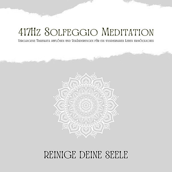 Reinige Deine Seele - 1 - 417Hz Solfeggio Meditation: Vergangene Traumata auflösen und Veränderungen für ein wunderbares Leben ermöglichen, Patrick Lynen