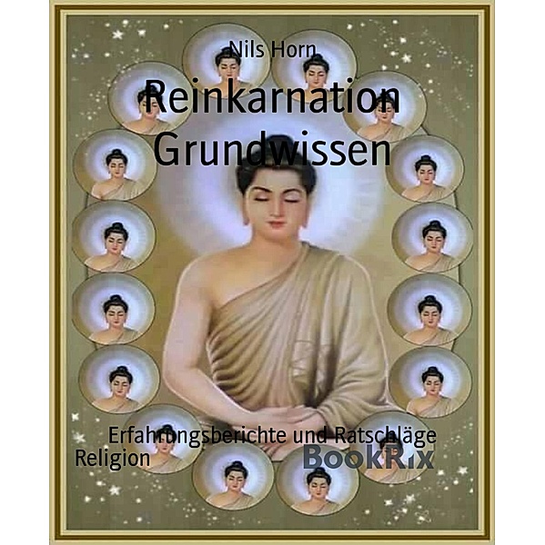 Reinkarnation Grundwissen, Nils Horn
