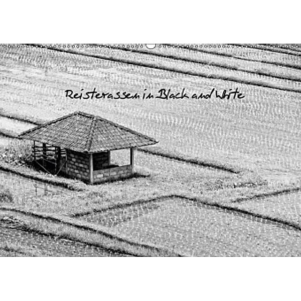 Reisterassen in Black and White (Wandkalender 2017 DIN A2 quer), Elisabeth Stephan