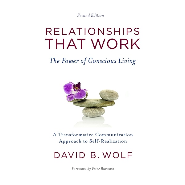 Relationships That Work: The Power of Conscious Living, David B. Wolf