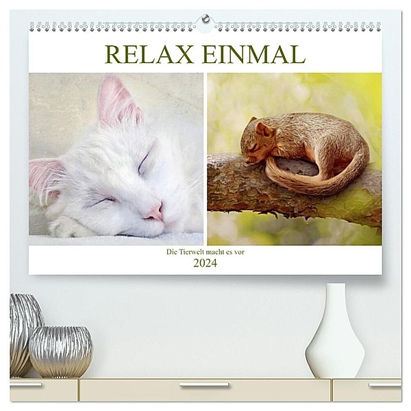 Relax einmal - Die Tierwelt macht es vor (hochwertiger Premium Wandkalender 2024 DIN A2 quer), Kunstdruck in Hochglanz, Liselotte Brunner-Klaus