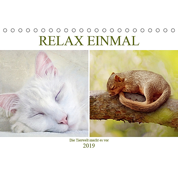 Relax einmal - Die Tierwelt macht es vor (Tischkalender 2019 DIN A5 quer), Liselotte Brunner-Klaus