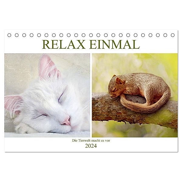 Relax einmal - Die Tierwelt macht es vor (Tischkalender 2024 DIN A5 quer), CALVENDO Monatskalender, Liselotte Brunner-Klaus