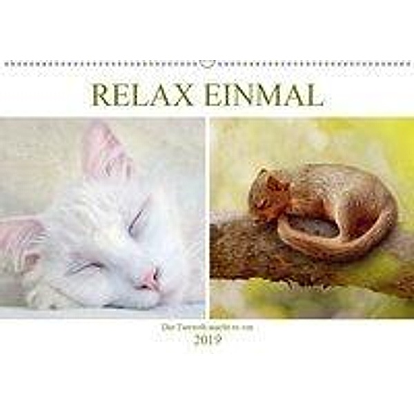 Relax einmal - Die Tierwelt macht es vor (Wandkalender 2019 DIN A2 quer), Liselotte Brunner-Klaus