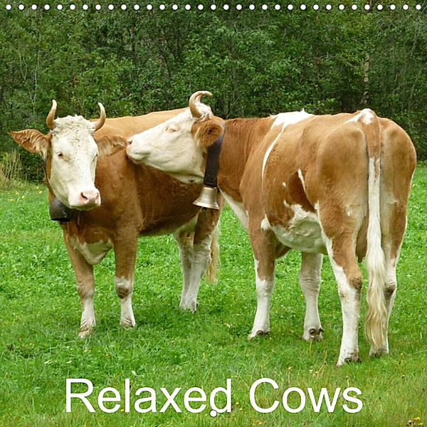 Relaxed Cows (Wall Calendar 2023 300 × 300 mm Square), Kattobello