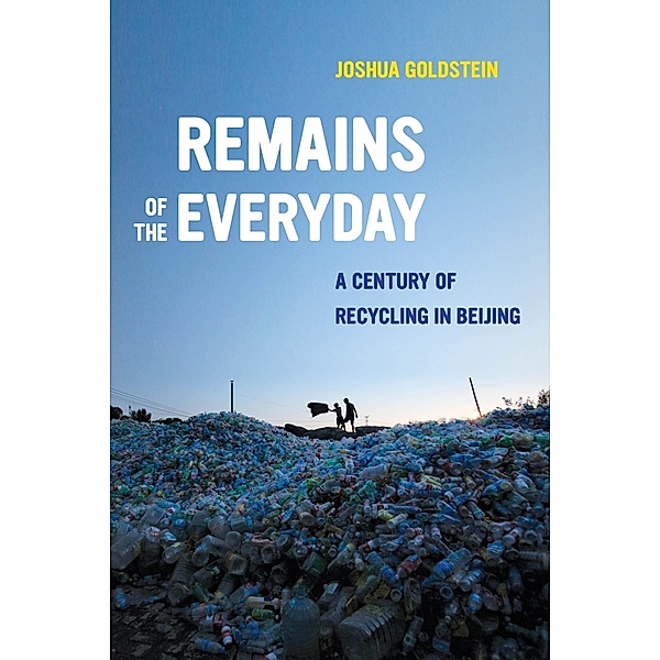Remains of the Everyday, Joshua Goldstein