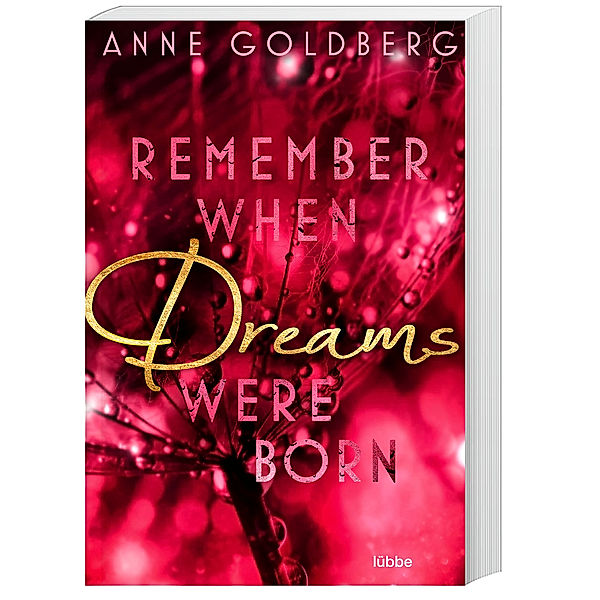 Remember when Dreams were born / Remember Bd.1, Anne Goldberg