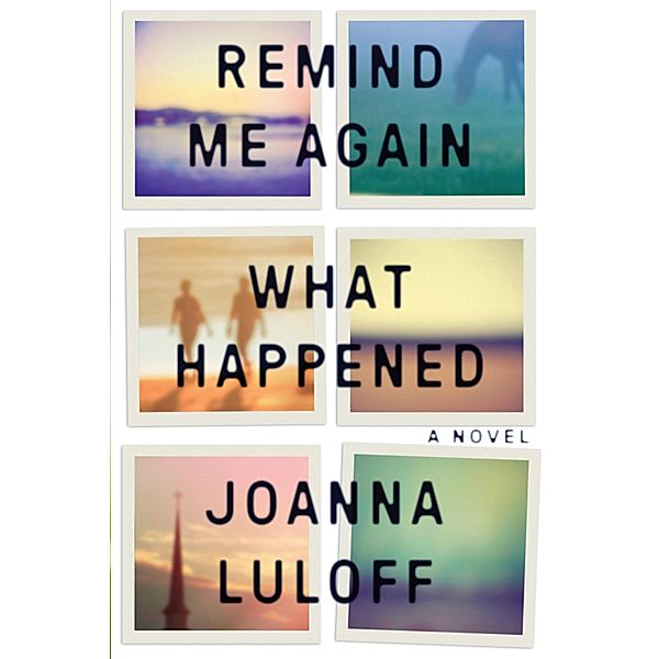 Remind Me Again What Happened, Joanna Luloff