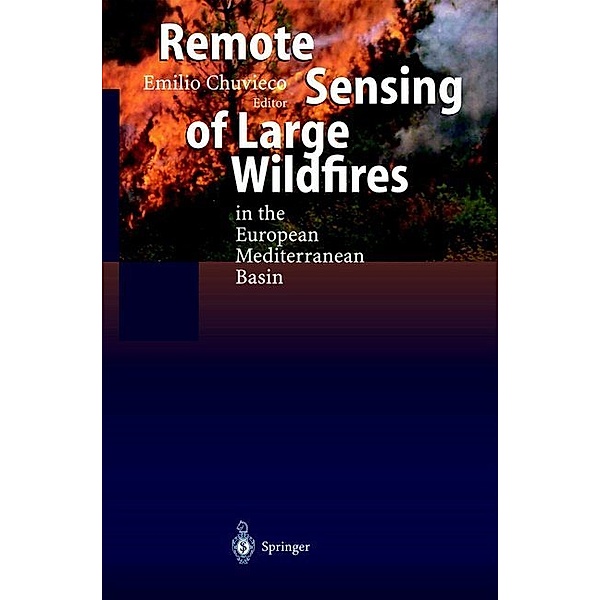 Remote Sensing of Large Wildfires