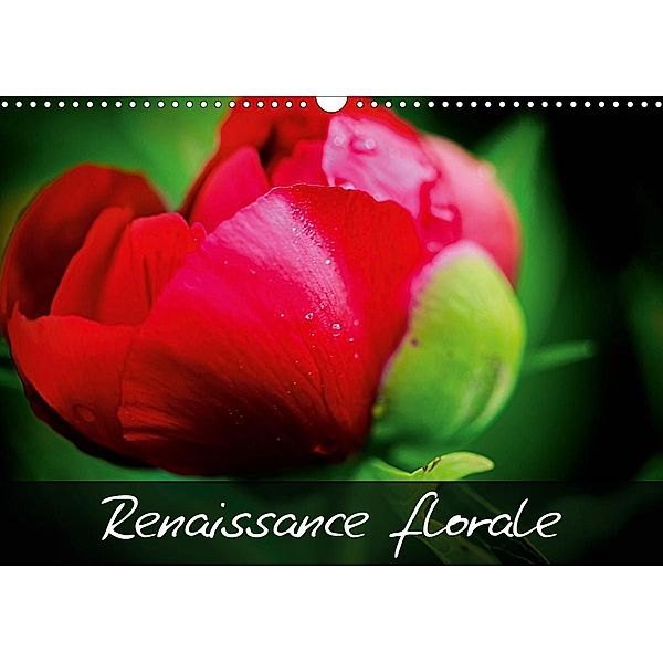 Renaissance florale ! (Calendrier mural 2021 DIN A3 horizontal), Carmen Mocanu