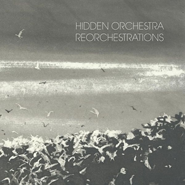 Reorchestration, Hidden Orchestra