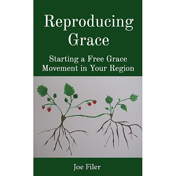 Reproducing Grace: Starting a Free Grace Movement in Your Region, Joe Filer