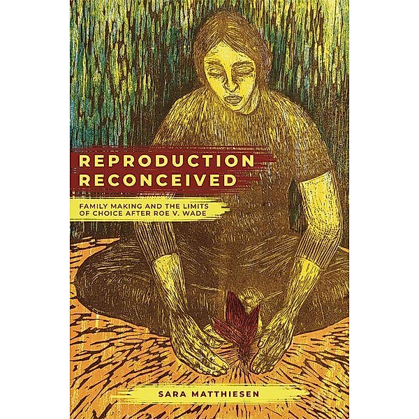 Reproduction Reconceived / Reproductive Justice: A New Vision for the 21st Century Bd.5, Sara Matthiesen