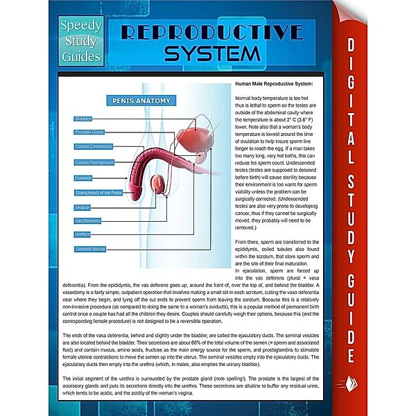 Reproductive System (Speedy Study Guides) / Dot EDU, Speedy Publishing