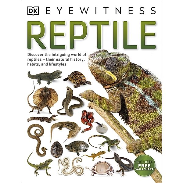 Reptile, Dk